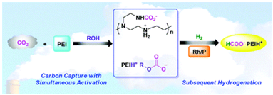 说明:Graphical abstract:In situ hydrogenation of captured CO2 to formate with polyethyleneimine and Rh/monophosphine system